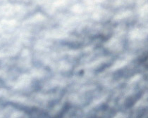 Quiz: � un liceale anche se non ha mai frequentato.